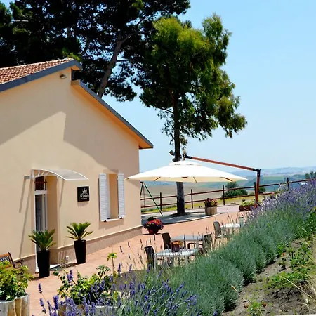 Re Umberto Suite-2